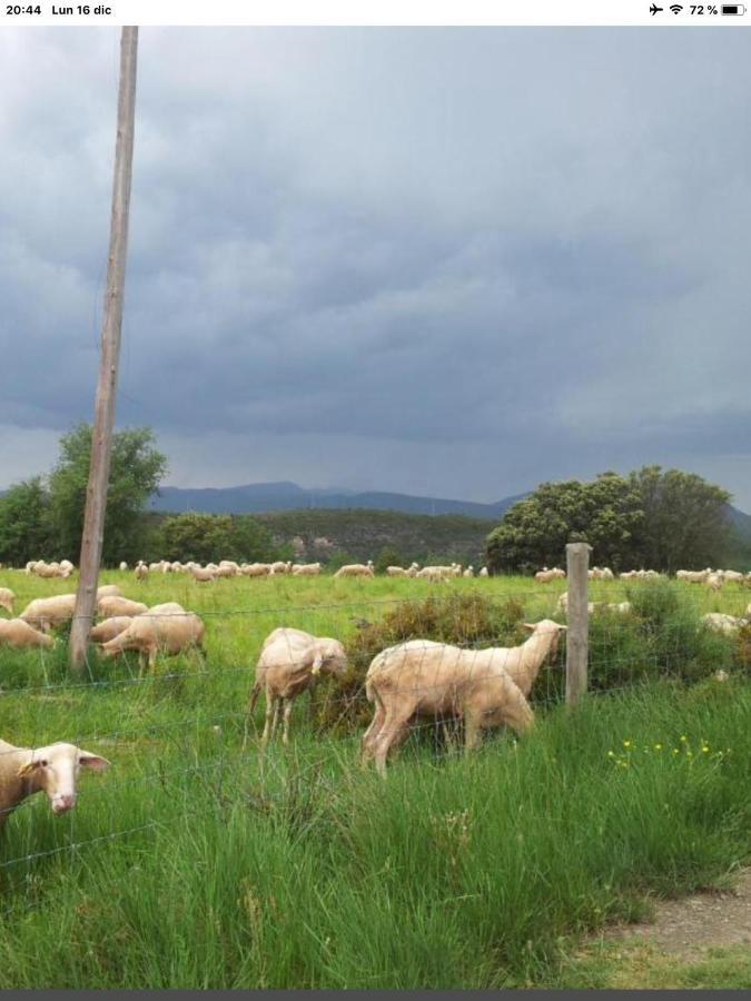 Vistas A La Montana En Un Pueblo Con Encanto. El Pueyo de Araguás Exterior foto